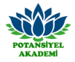 potansiyelakademi.com