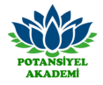potansiyelakademi.com