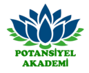 potansiyelakademi.com