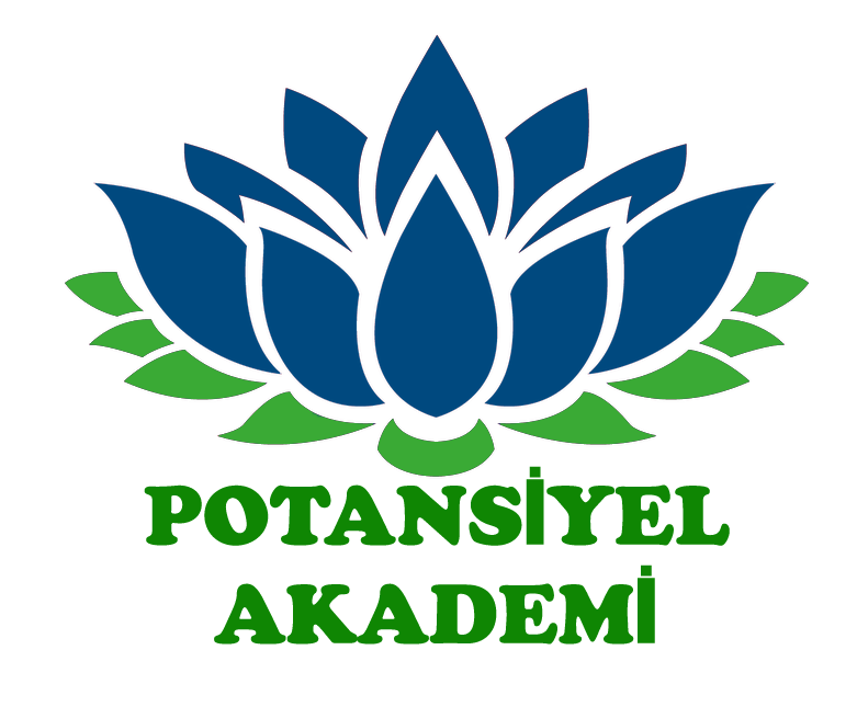 potansiyelakademi.com